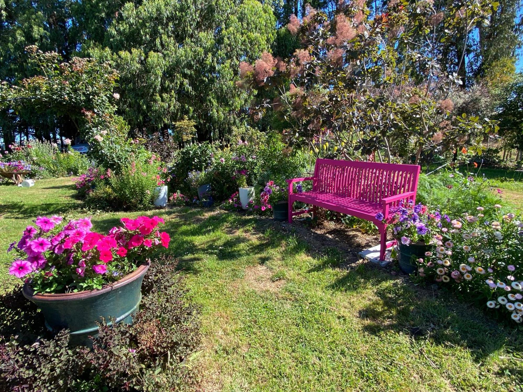 Korimako'S Nest Garden Studio Carterton Exterior foto